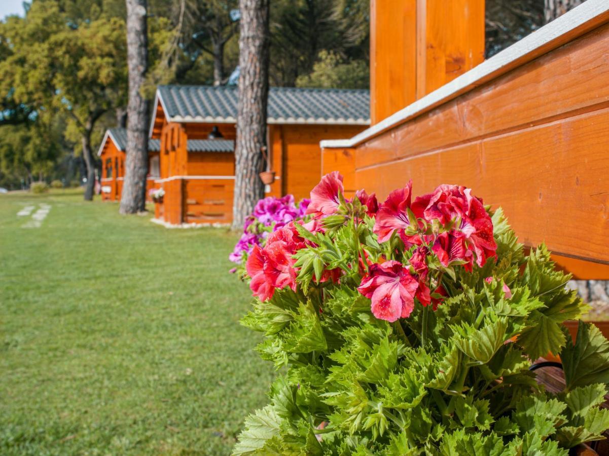 Chalet Do Lago Montargil Dış mekan fotoğraf